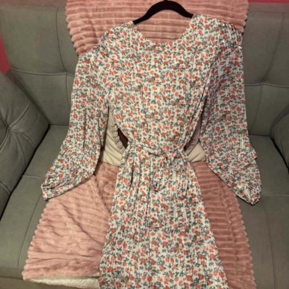 Ivy City Co Chloe Dress